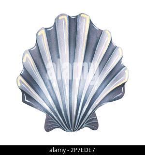 Seashell fan gray in stile cartoon. Illustrazione acquerello. Oggetto isolato su sfondo bianco dalla collezione BEACH HOLIDAY. Per decorazione e. Foto Stock