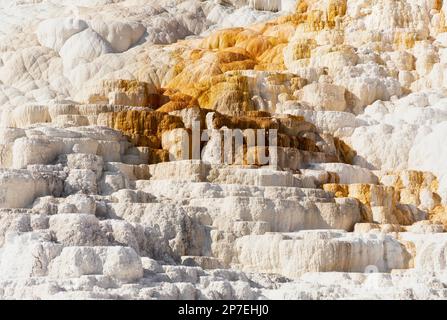 Bianco con un po' di strati arancioni dal flusso termico da vicino alle sorgenti termali di Mammoth in un paesaggio estivo del Parco di Yellowstone Foto Stock