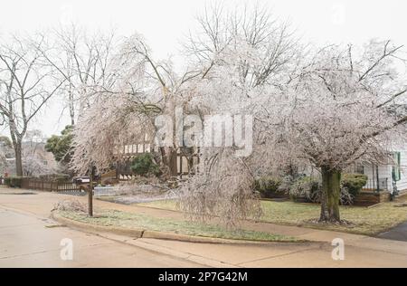 Feb 2023 la tempesta di ghiaccio invernale copre alberi e fili nel Michigan Foto Stock