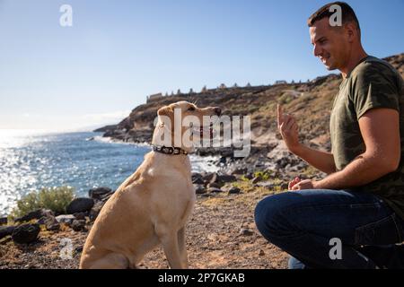 Un addestratore del cane gesti con la sua mano davanti ad un cane durante una sessione di addestramento. Foto Stock