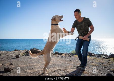 Un addestratore del cane con un retriever del labrador durante un addestramento vicino al mare. Foto Stock