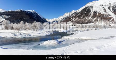 Panorama di foresta coperta di gelo in un inverno freddo lungo la riva del fiume (grande file cucito) Foto Stock