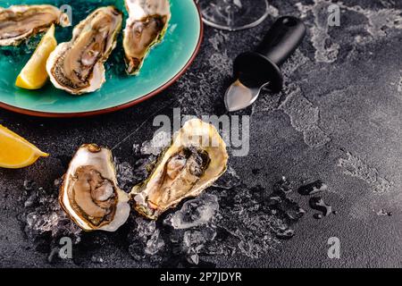 Ostriche fresche aperte su un tavolo scuro, servite con limone e ghiaccio. Foto Stock