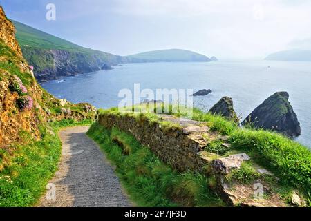 Strada verso la costa rocciosa di Dunquin Harbour, penisola di Dingle, Contea di Kerry, Irlanda Foto Stock