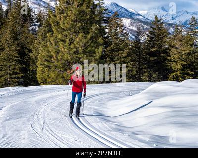 WA23232-00...WASHINGTON - sciatore che sale la pista di fondo di Lower Fawn Creek nel sistema Rendezvous Trail della valle di Methow. Foto Stock