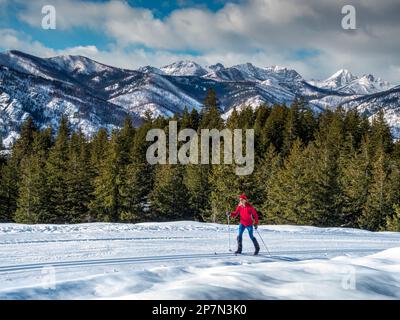 WA23234-00...WASHINGTON - sciatore che sale la pista di fondo di Lower Fawn Creek nel sistema di Sentiero Rendezvous della valle di Methow con il mo Foto Stock