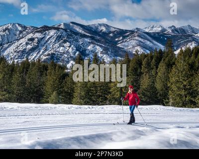 WA23235-00...WASHINGTON - sciatore che sale la pista di fondo di Lower Fawn Creek nel sistema di Sentiero Rendezvous della valle di Methow con il mo Foto Stock