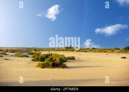 Casa di fango da sola nel mezzo del deserto di Thar vicino alla linea di confine India Pakistan Foto Stock