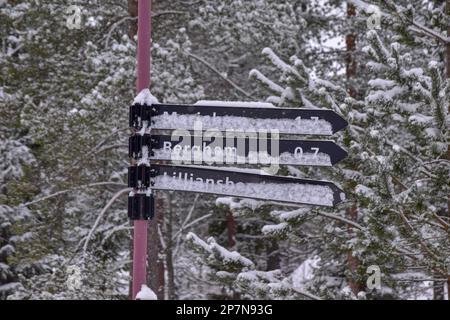 Indicazioni per la zona nel nord della Svezia durante l'inverno. Foto Stock