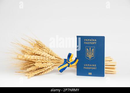 Spikelets di grano legato con un nastro dei colori della bandiera Ucraina e un passaporto straniero ucraino su uno sfondo bianco, un passaporto biometrico Foto Stock