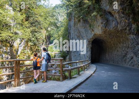 Due giovani escursionisti con zaini, una coppia innamorata in piedi sul ponte e guardando il ripido letto roccioso ruscello Foto Stock