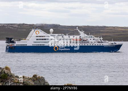 L'Ocean Diamond, una piccola nave da crociera operata da Quark Expeditions. Foto scattata a Stanley Harbour, Isole Falkland. Foto Stock