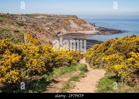 Guardando verso Port Mulgrave qui non è immediatamente evidente che si tratta di un porto di esportazione abbandonato pietra di ferro. Avvicinatevi e c'è molto flotsam, ecc. Foto Stock