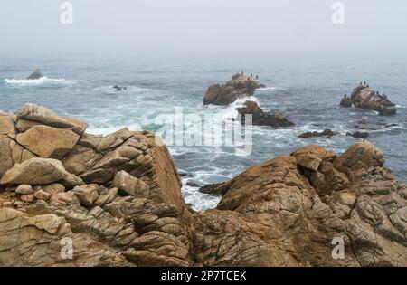 17 km circa dalla costa di Pacific Groove Foto Stock