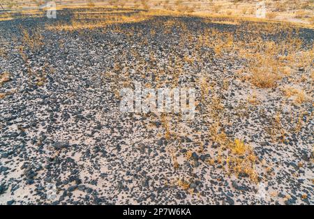 Paesaggio arido del Cratere di Amboy in California Foto Stock