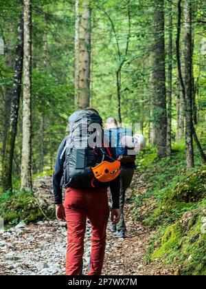 Due uomini alpinisti escursionisti escursionisti camminando attraverso una pineta di montagna con zaini arrampicata casco attrezzatura Foto Stock