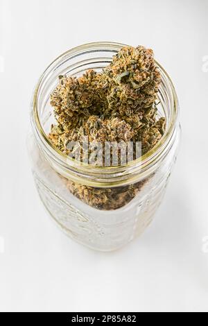 Vaso di Mason pieno di marijuana medica in Michigan, USA Foto Stock