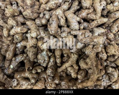 Zenzero intero (Zingiber officinale) radice in vendita in un mercato di frutta e verdura fresca. Vista dall'alto dei rizomi freschi di zenzero. Foto Stock