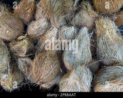 Noci di cocco fresche in vendita in un mercato alimentare fresco. Vista dall'alto delle noci di cocco sgusciate. Foto Stock