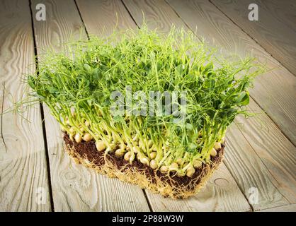 Microgreens crescente nel paese. Blocco di germogli di piselli verdi e verdi tagliati su uno sfondo di legno. Stile rustico. Foto Stock