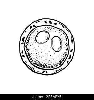 Cellule ematiche mieloblast isolate su sfondo bianco. Illustrazione vettoriale per microbiologia scientifica disegnata a mano in stile schizzo Illustrazione Vettoriale