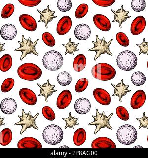 Pattern senza giunture di cellule ematiche. Eritrociti, leucociti e piastrine prelevati a mano. Illustrazione di biologia scientifica in stile schizzo Illustrazione Vettoriale
