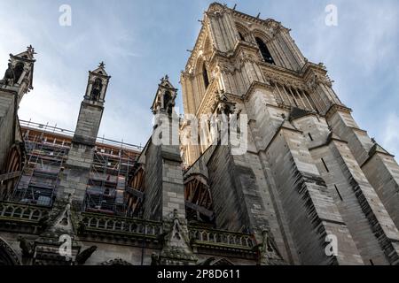 Parte del restauro della Cattedrale di Notre Dame dopo l'incendio del 2019. Foto Stock