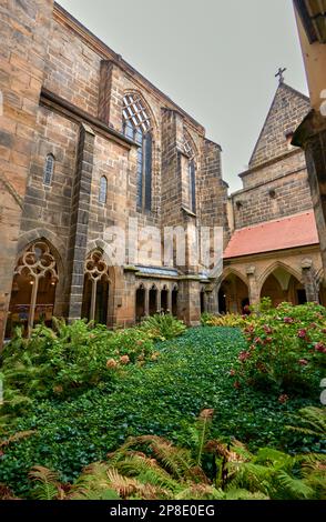 Nel cortile della cattedrale cittadina di Meissen. Sassonia, Germania Foto Stock