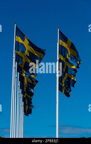 Numerose bandiere svedesi che volano su palangi. Foto Stock