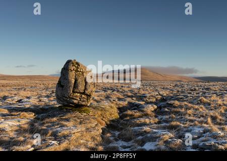 Un grande masso sorge su un marciapiede di pietra calcarea, con una vista di Whernside sullo sfondo, nello Yorkshire Dales National Park, Regno Unito Foto Stock