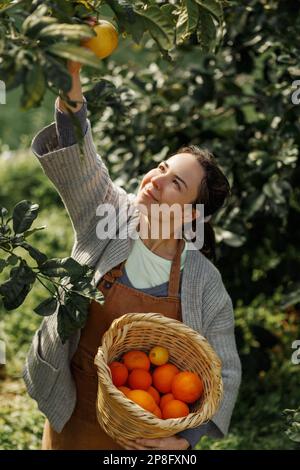 Donna contadina da fattoria arancione. Il giardiniere che raccoglie l'arancia nel cesto. Sorridente agricoltore che trasporta arance fresche al mercato agricolo per la vendita. Fa arancione Foto Stock