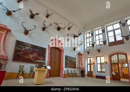 Abbagliante interno del castello di Moritzburg. Sassonia, Germania Foto Stock