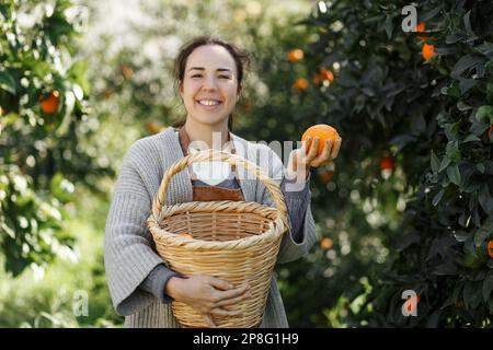 Donna contadina da fattoria arancione. Il giardiniere che raccoglie l'arancia nel cesto. Sorridente agricoltore che trasporta arance fresche al mercato agricolo per la vendita. Fa arancione Foto Stock