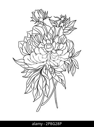 Peony Novembre nascita mese linea fiori art. Illustrazione Vettoriale