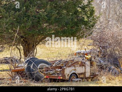 diversi tipi di veicoli vecchi coperti da spazzole e viti Foto Stock