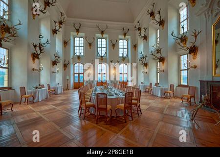 Abbagliante interno del castello di Moritzburg. Sassonia, Germania Foto Stock