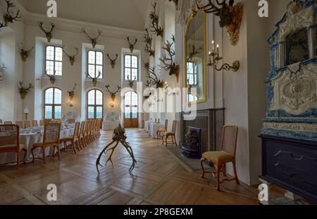 Abbagliante interno del castello di Moritzburg. Sassonia, Germania Foto Stock