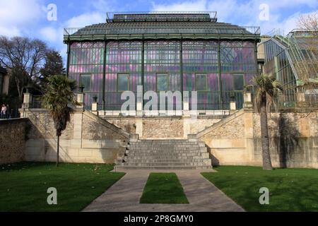 Vista della serra di vetro e ferro Mexicaine costruita nel 1834 dall'architetto Rohault de Fleury situato al Jardin des Plantes Parigi Francia. Foto Stock