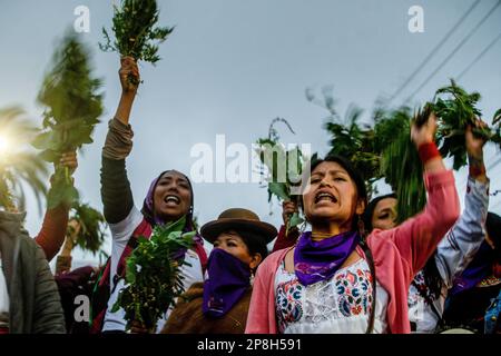 Quito, Ecuador. 08th Mar, 2023. Le donne usano diverse piante come segno di protezione e forza, come camomilla, cornflower, lavanda, e rue durante la protesta. Circa 4.000 persone provenienti da diverse comunità e dalla città di Quito hanno camminato nella protesta per la Giornata della donna, chiedendo sicurezza sociale e assistenza sanitaria decente, ricordando le donne che sono morte di femminicidio, le donne rapite che non sono mai rientrate a casa, e condizioni di lavoro decenti. La marcia è iniziata presso l'Università Centrale e si è conclusa con una cerimonia nella casa della cultura. Credit: SOPA Images Limited/Alamy Live News Foto Stock