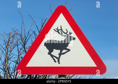 Deer Warning Sign in Scotland UK Foto Stock
