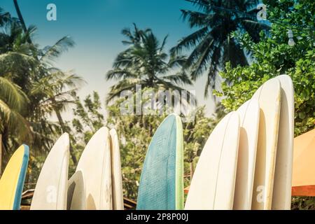 Diverse tavole da surf in stack per l'affitto via oceano sulla spiaggia sabbiosa di Hiriketiya vicino a Dickwella in Sri Lanka. All'aperto. Giornate di sole. Tavole da surf per principianti Foto Stock