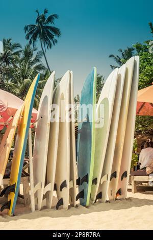 Diverse tavole da surf in stack per l'affitto via oceano sulla spiaggia sabbiosa di Hiriketiya vicino a Dickwella in Sri Lanka. All'aperto. Giornate di sole. Tavole da surf per principianti Foto Stock