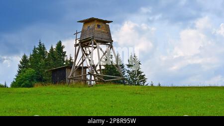 Vecchia torre di caccia in legno Foto Stock