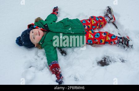 Newtown, Galles, 09/03/2023, nevicate abbondanti a Newtown Mid Wales Today.Credit: H18PDW Fotografia/Alamy Live News Foto Stock