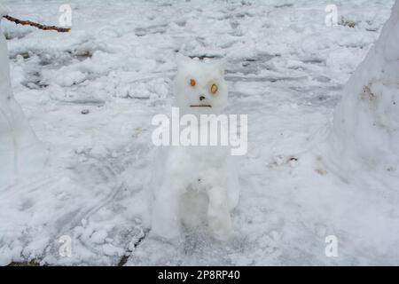 Newtown, Galles, 09/03/2023, nevicate abbondanti a Newtown Mid Wales Today.Credit: H18PDW Fotografia/Alamy Live News Foto Stock