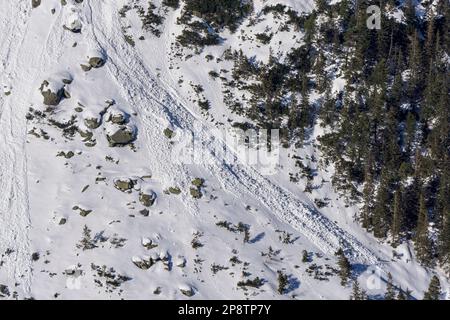 Zona delle valanghe. Vista dal sentiero alla Valle dei cinque Stagni polacchi. Foto Stock