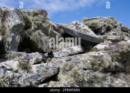 Dunlough Castle a tre Castelli Head EIRE Foto Stock