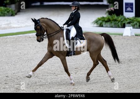 DEN BOSCH - Charlotte Defalque (bel) su Botticelli durante il dressage di qualificazione di Coppa del mondo, durante il Masters Olandese Indoor Brabant Horse Show. LEVIGATRICE ANP KONING olanda fuori - belgio fuori Foto Stock