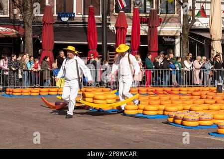 Trasportatori di formaggi sul mercato del formaggio nella città olandese di Alkmaar. Foto Stock
