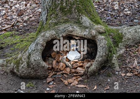 Piccolo angelo con una chitarra all'interno di un foro di un albero nel mezzo della foresta Foto Stock